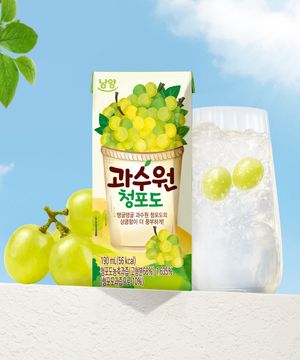 과수원 청포도 190ml x 24개