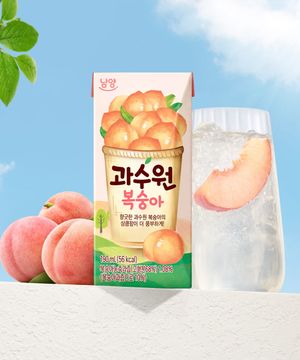 과수원 복숭아 190ml x 24개