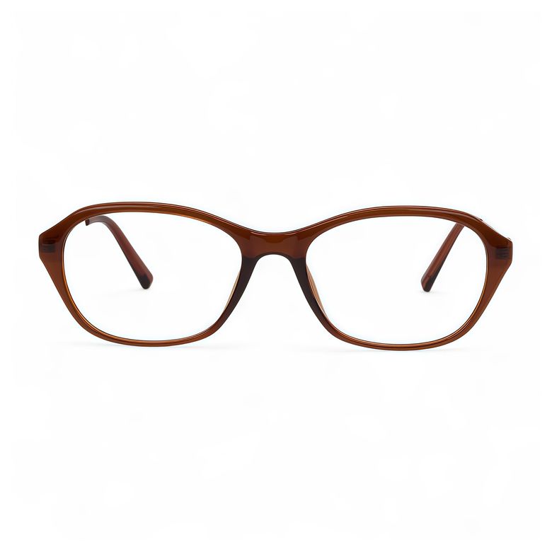Vilan 빌란 (brown) LA1048 안경테 뿔테