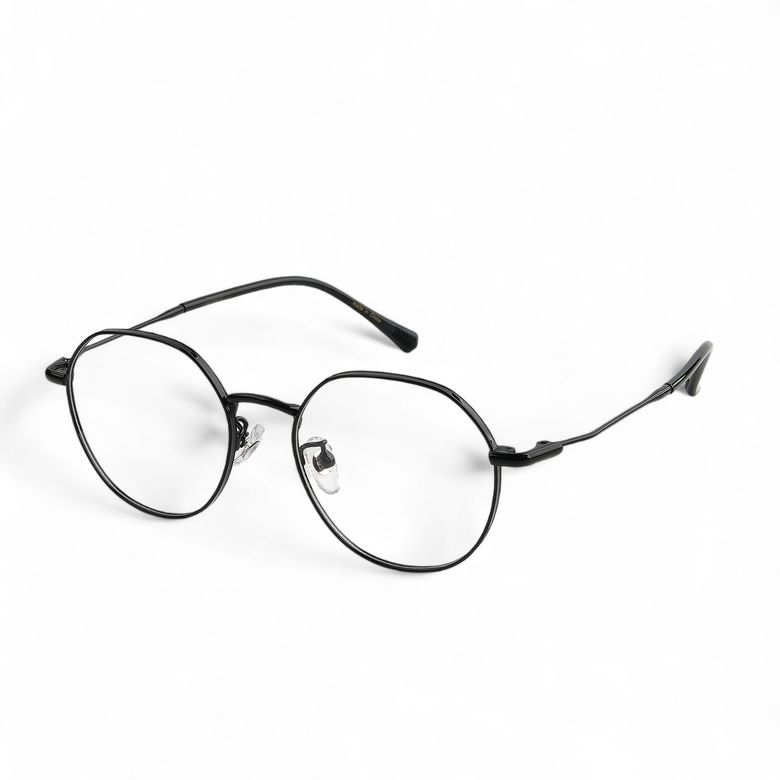Perra 페라 (black) LA1014 안경테 티타늄