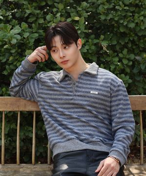 Multi-Stripe PK Knit - Grey Navy