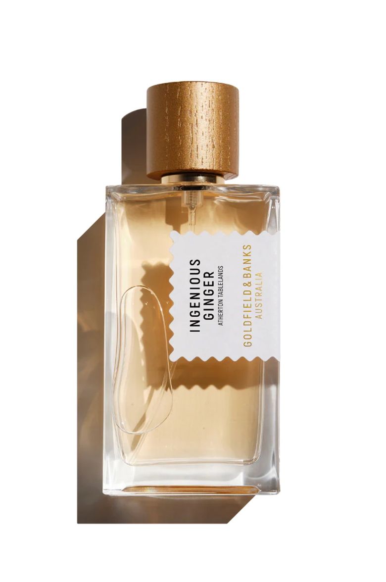 인지니어스 진저 100ml
