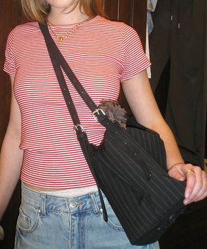 투웨이 스퀘어 빅 백-스트라이프