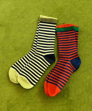 컬러데이삭스 (KSO260124)