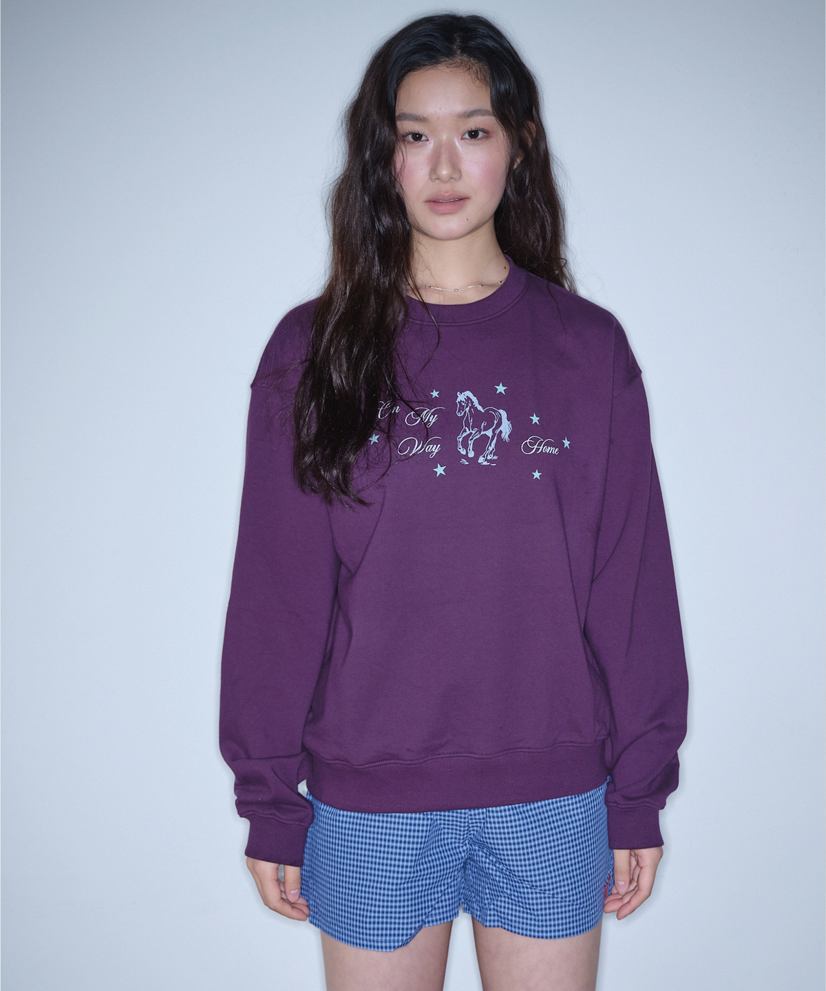 홈바디띵즈(HOMEBODY THINGS) HBT Pony Sweatshirt (PURPLE)