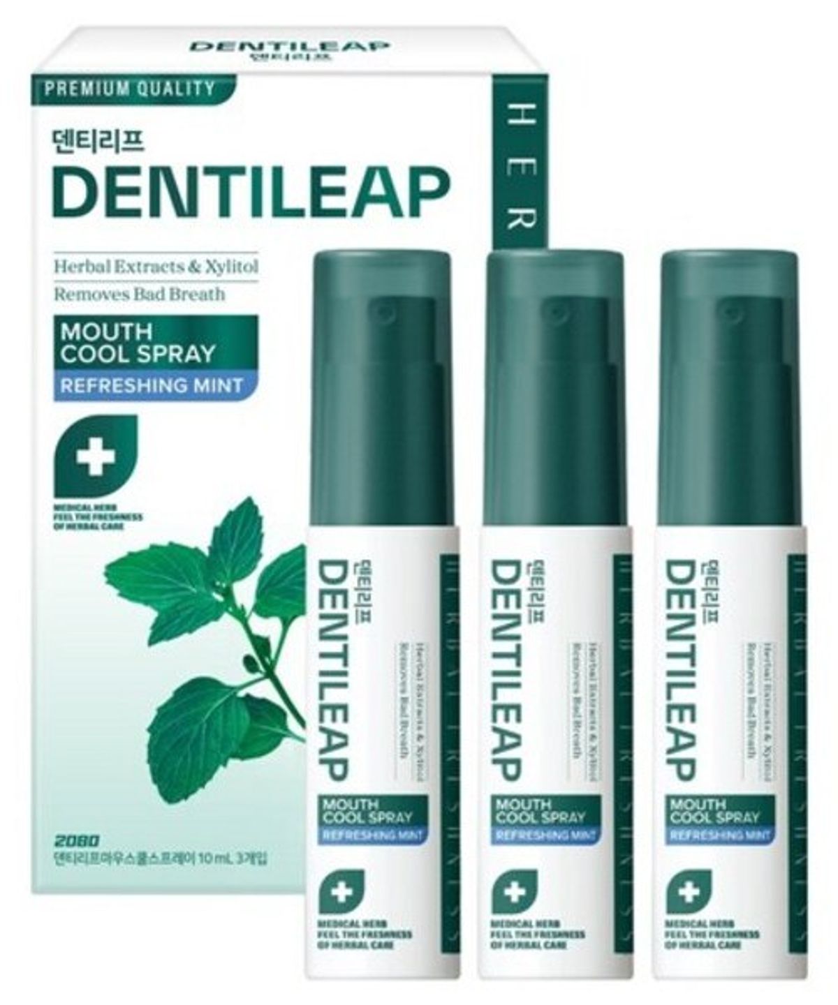 이공팔공(2080) 덴티리프 마우스 쿨 스프레이 10ml X 3입