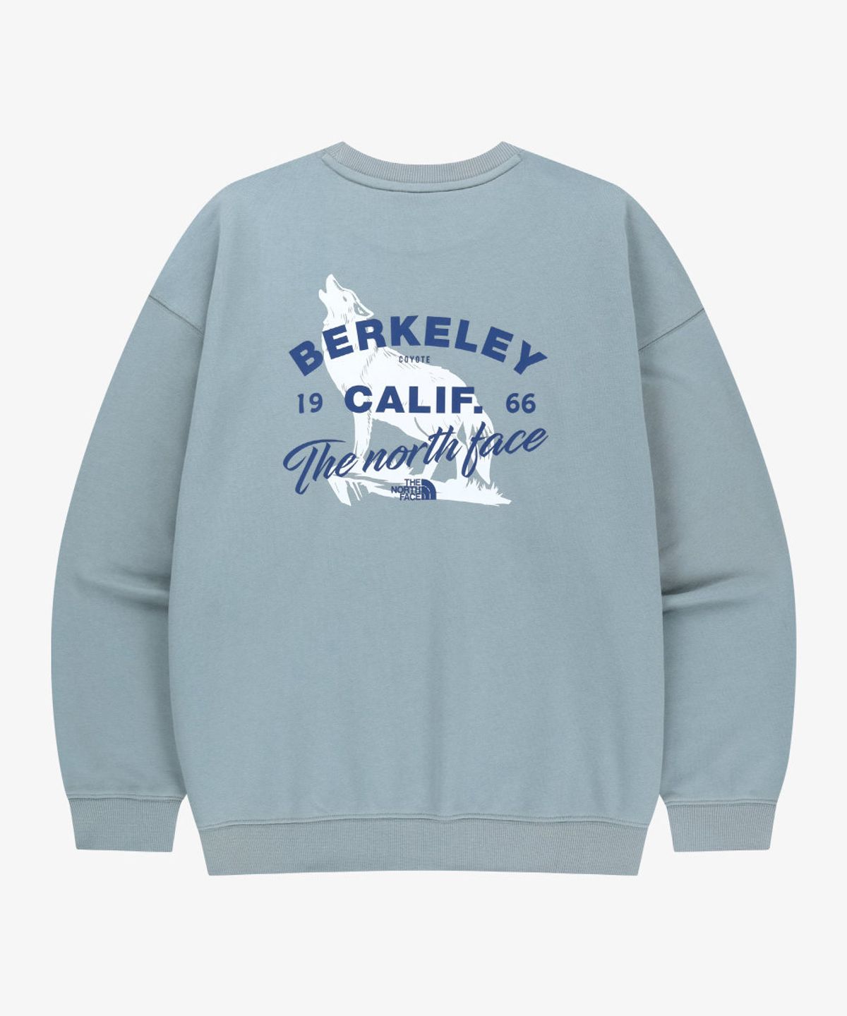 노스페이스(THE NORTH FACE) NM5MS06K 화이트라벨 버클리 스웨트셔츠 BLUE GRAY