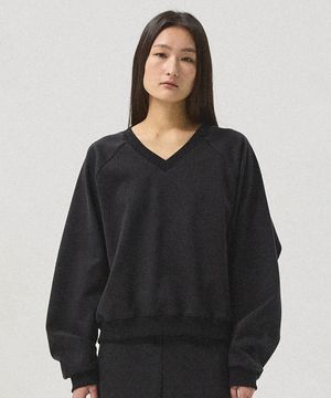 Aro Raglan V-Neck Sweatshirt_BLACK