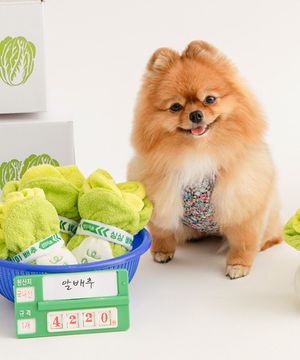 싱싱 알배추 노즈워크 장난감 (삑삑/바스락/노즈워크)