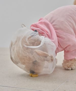 강아지 페이스커버 진드기방지 산책망