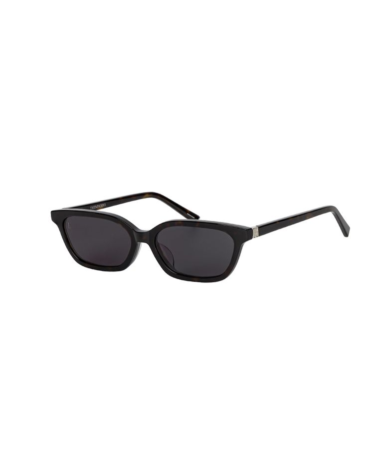 Signature Plaque Sunglasses [ Brown ]