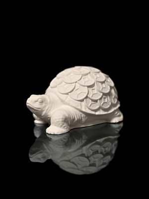 Coin_Turtle