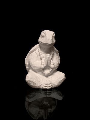 Meditating Turtle