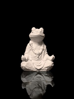 Meditating Frog
