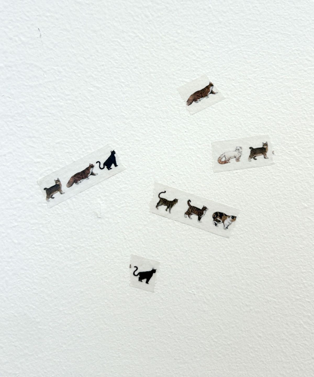 샤이몬스터(SHYMONSTER) Cats 마스킹테이프 2set