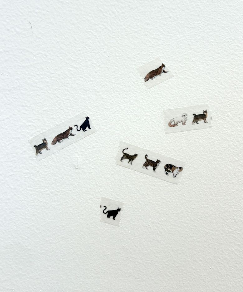 Cats 마스킹테이프 2set