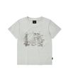 6235297