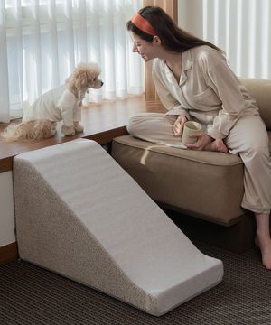 강아지 계단 슬라이드 스텝