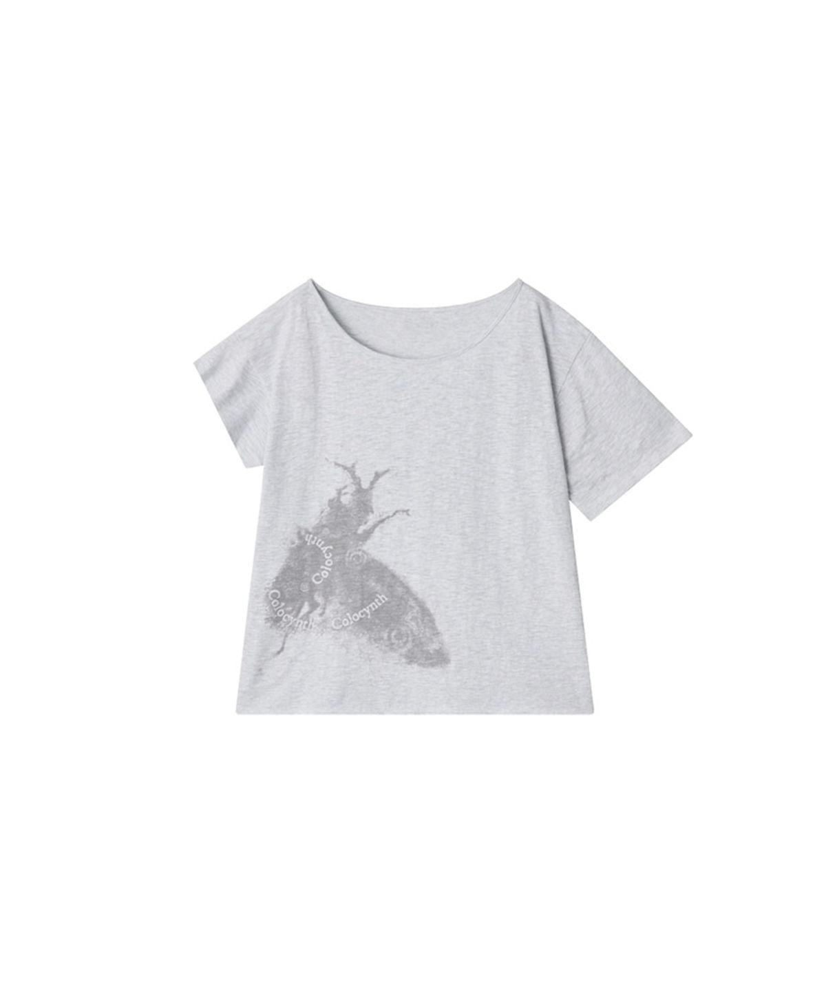 콜로신스(COLOCYNTH) Beetle Unbalance T Melange
