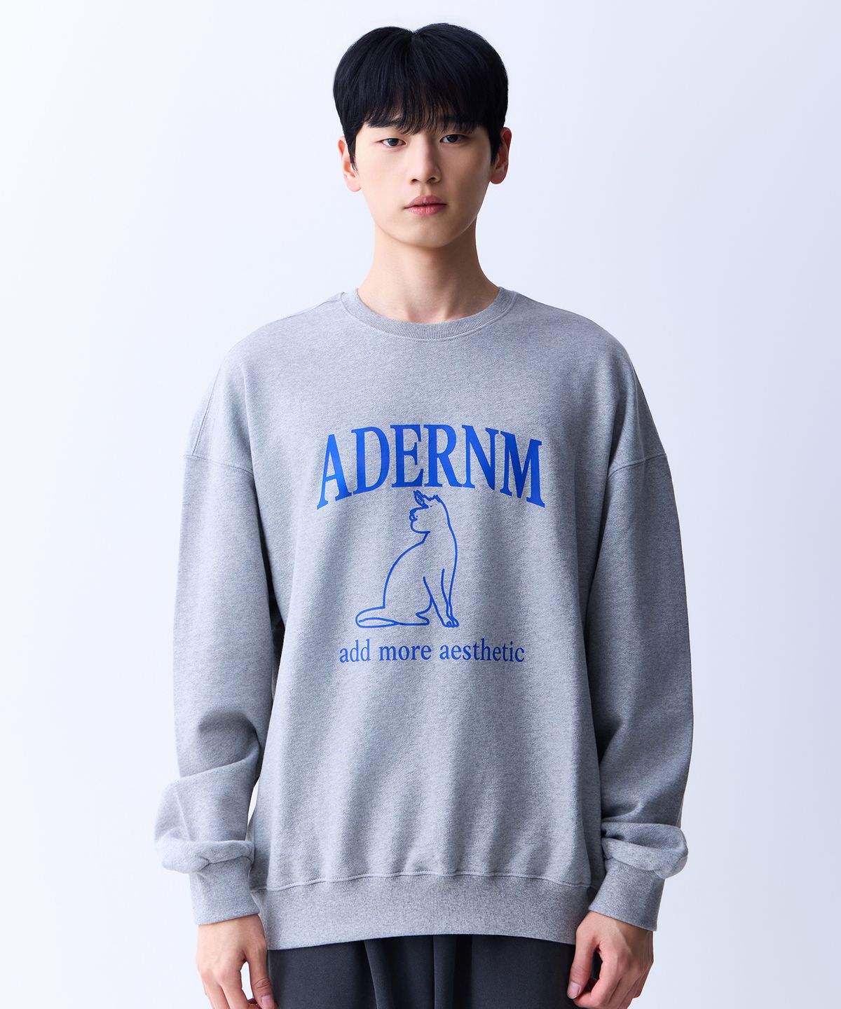 에이던엠(ADERNM) 에이던엠 캣츠 스웨트셔츠 그레이&블루