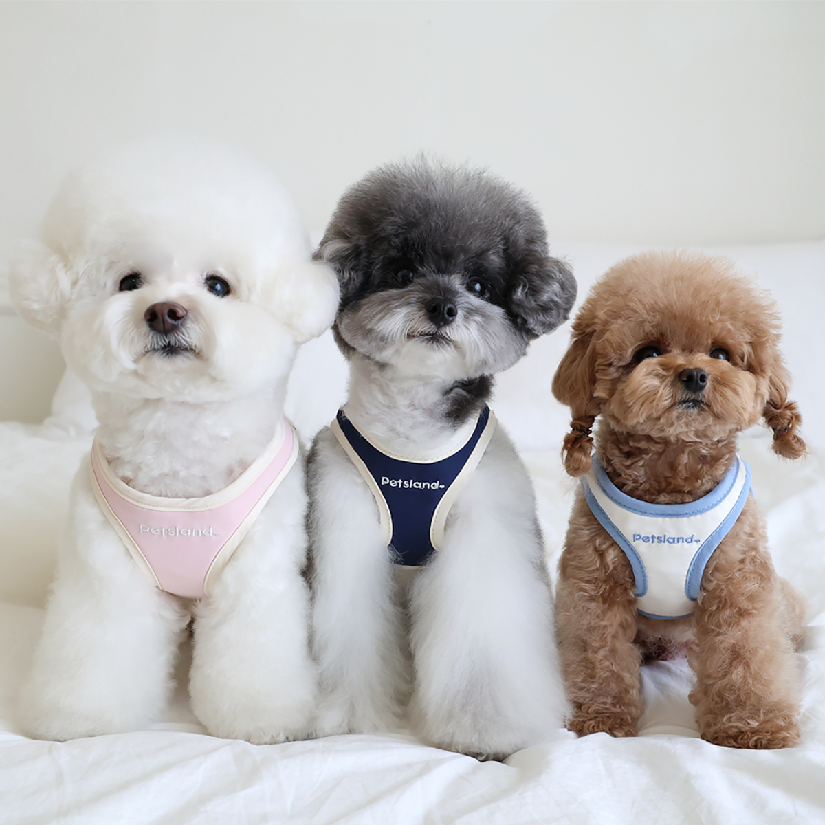 펫츠랜드(PETSLAND) 허그미하네스 +리드줄 세트 3Color S-L