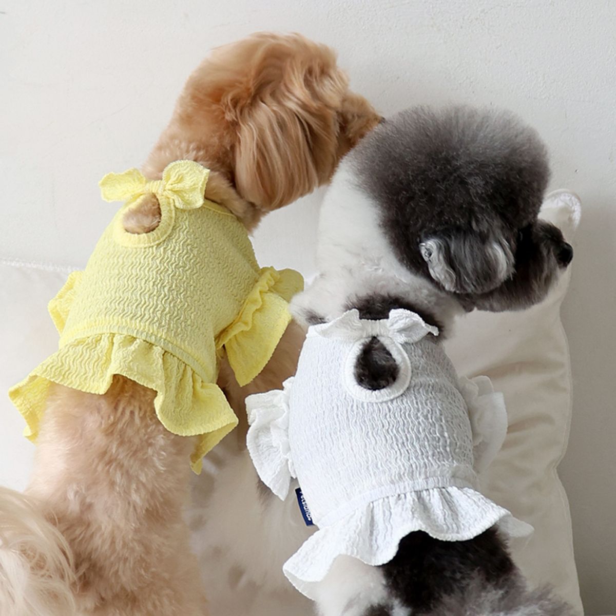 펫츠랜드(PETSLAND) 데이지프릴탑 2color S-2XL