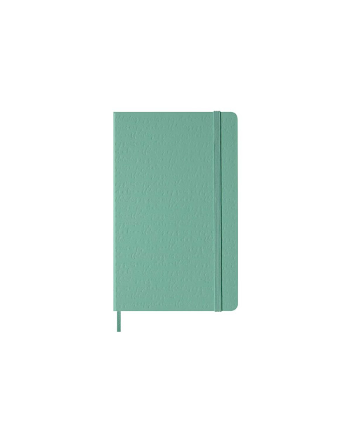 몰스킨(MOLESKINE) [26 시즈널 컬러]클래식노트 플레인/세이지그린 하드 L