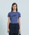 6323904