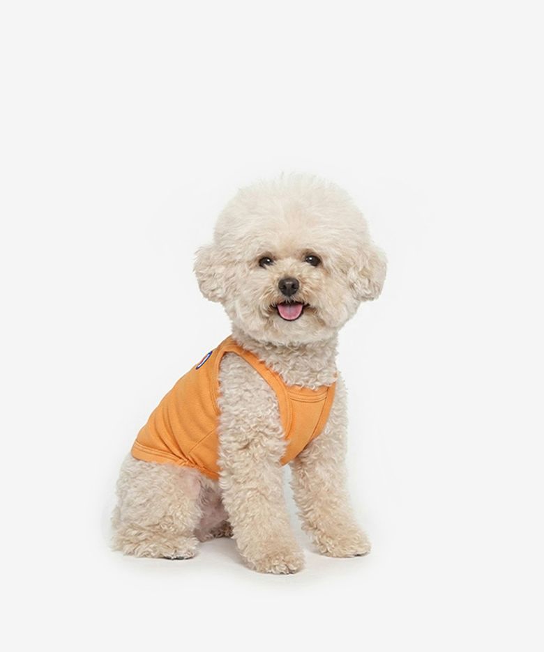 쿨나시 강아지옷 (오렌지)