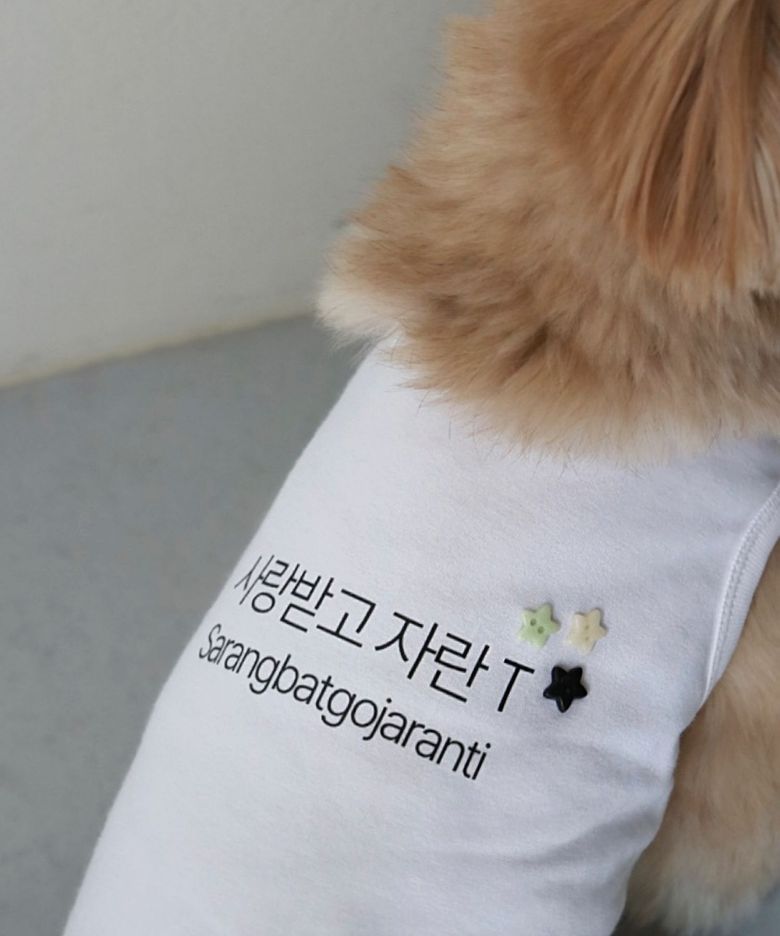 사랑받고 자란 T 반려견 티셔츠