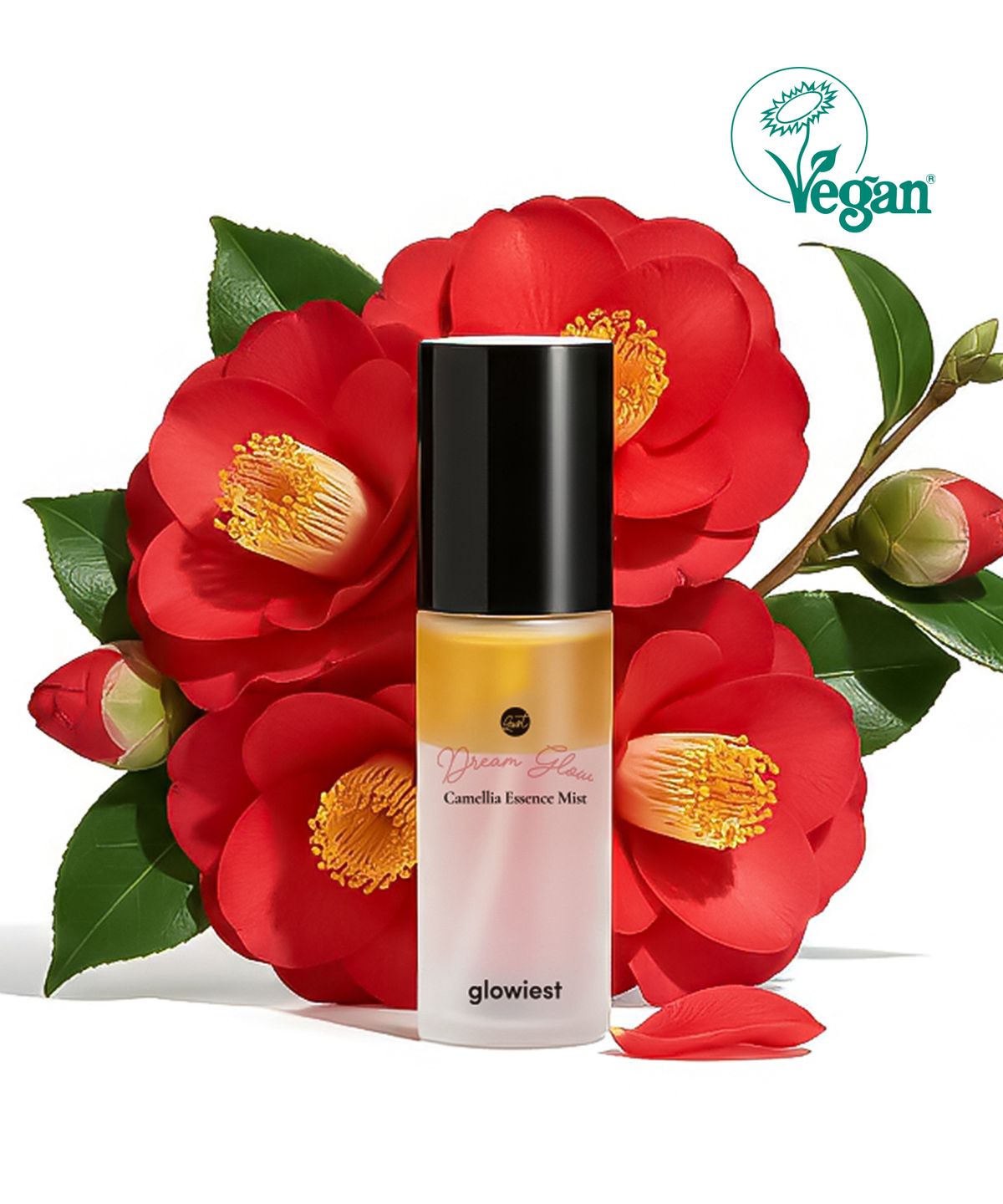 글로이스트(GLOWIEST) 드림 글로우 카멜리아 에센스 미스트 80 ml