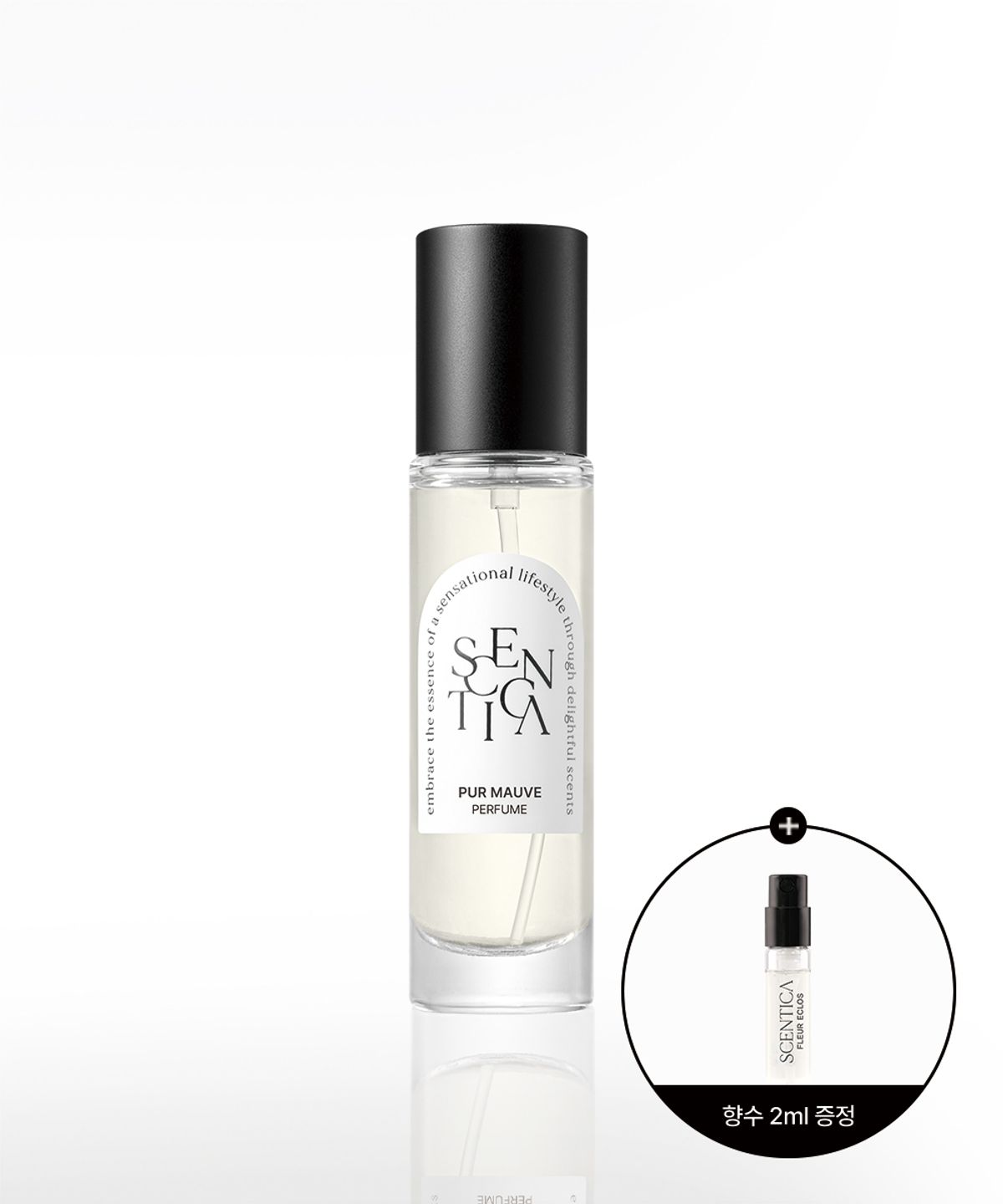 센티카(SCENTICA) 시그니처 퍼퓸 퓨어 모브 15ml