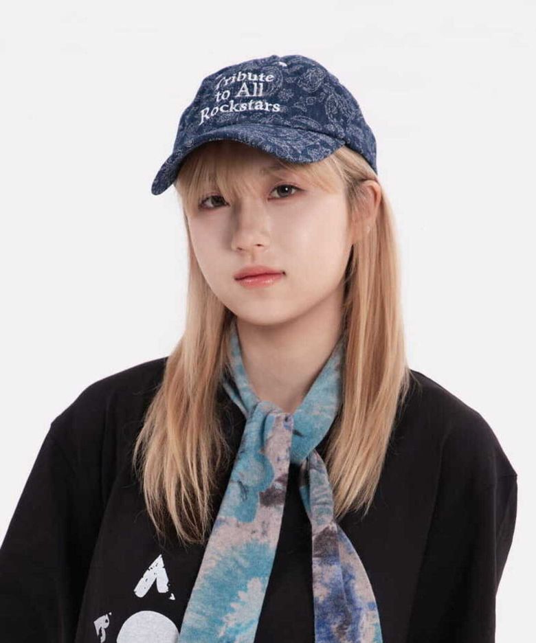 Embroidered Ball Cap_Blue Paisley