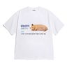 6383177