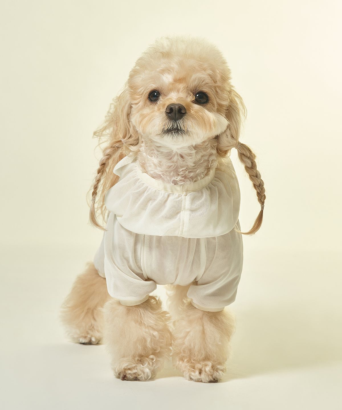베일리(BAILEY) 강아지 여름 해충 진드기방지 쿨링 버그가드 메쉬 올인원 아이보리