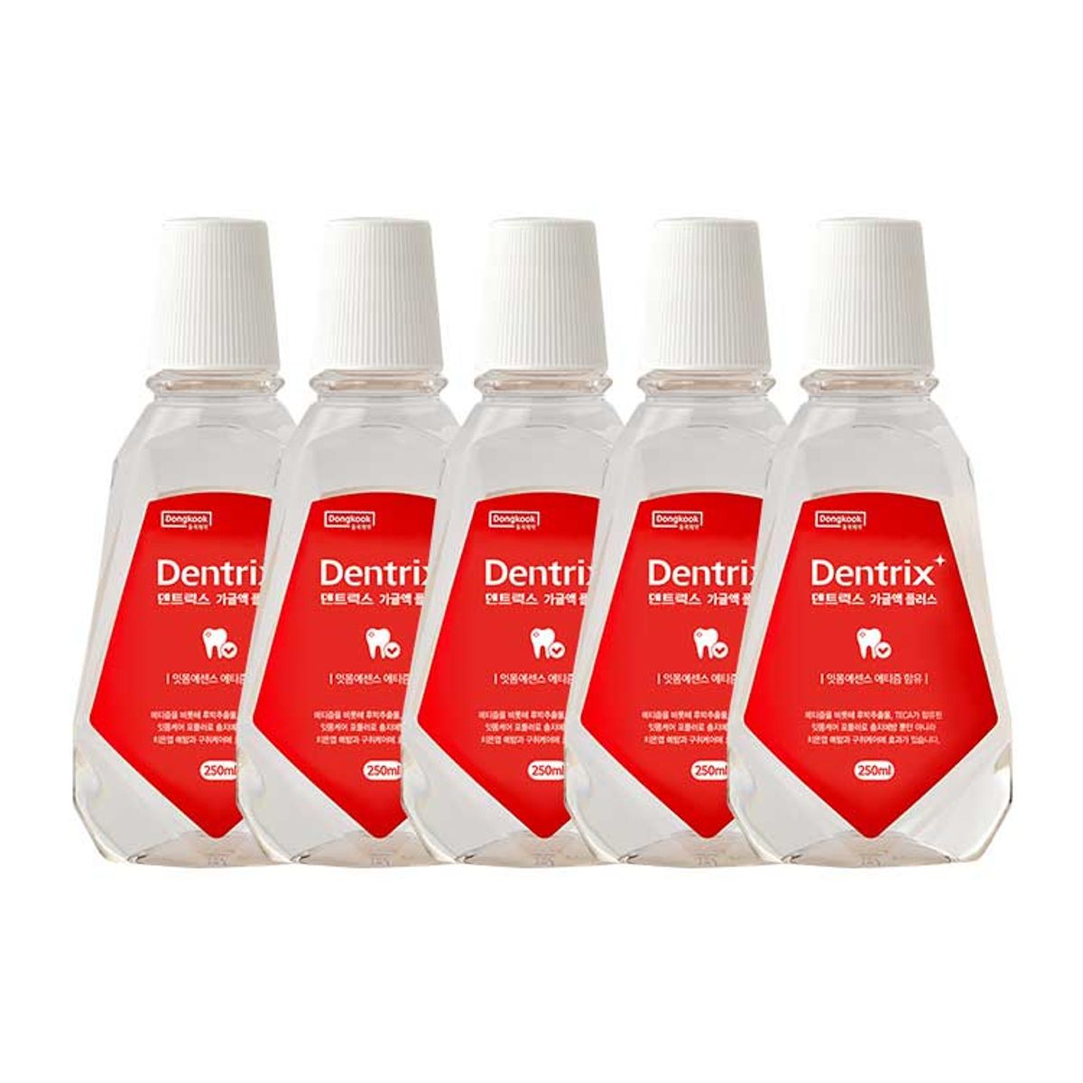 동국제약(DONGKOOK PHARM) 덴트릭스 가글액 플러스 250ml 5개