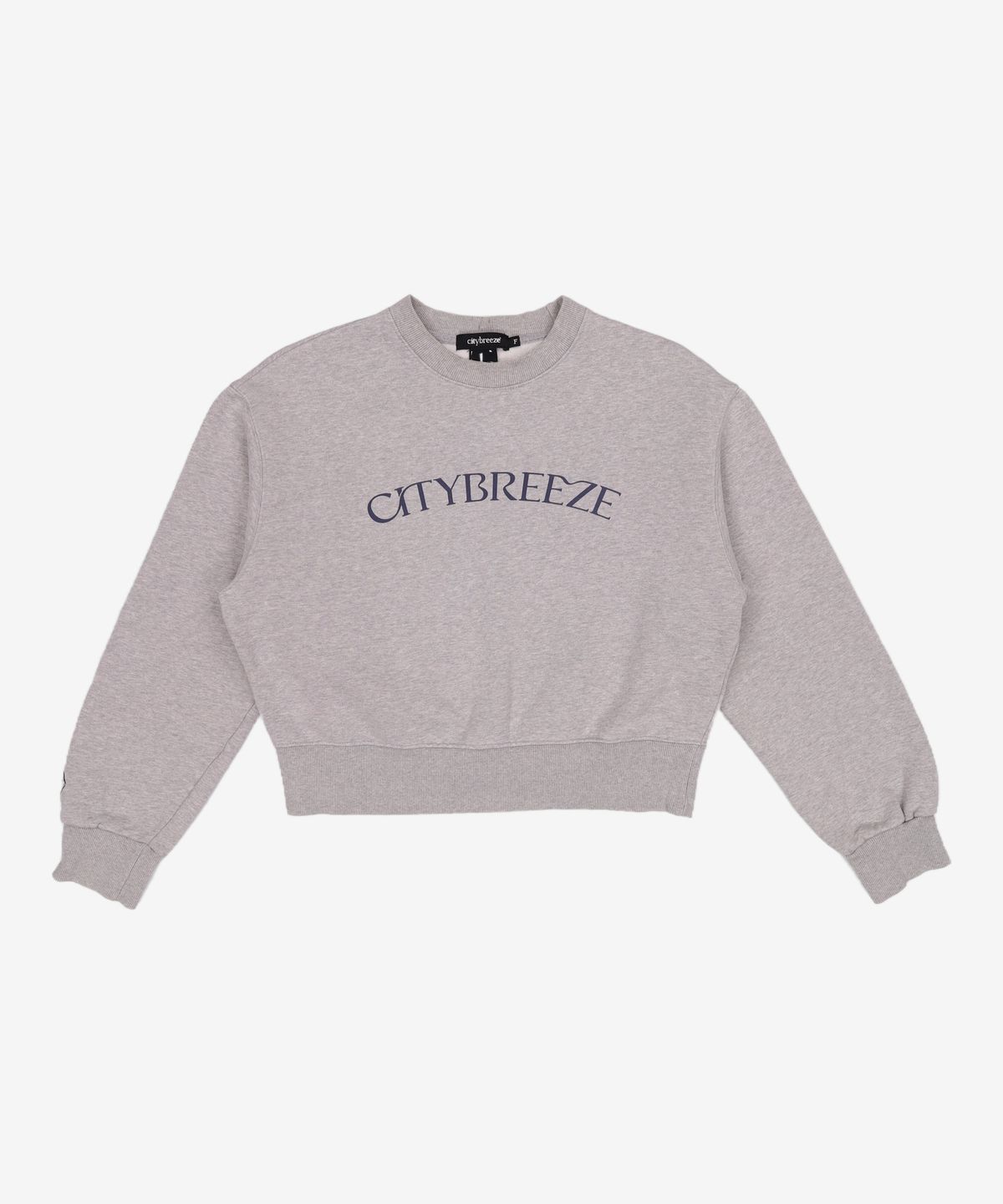 시티브리즈(CITYBREEZE) 맨투맨/스웨트셔츠 FREE