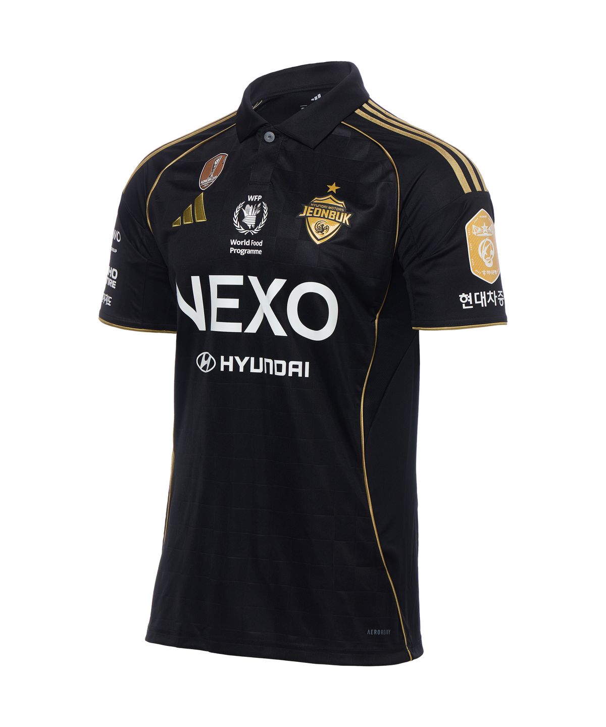 전북현대모터스FC(JEONBUK HYUNDAI MOTORS FC) BLACK LABEL : unexpected charm 필드홈 풀마킹(김진규)