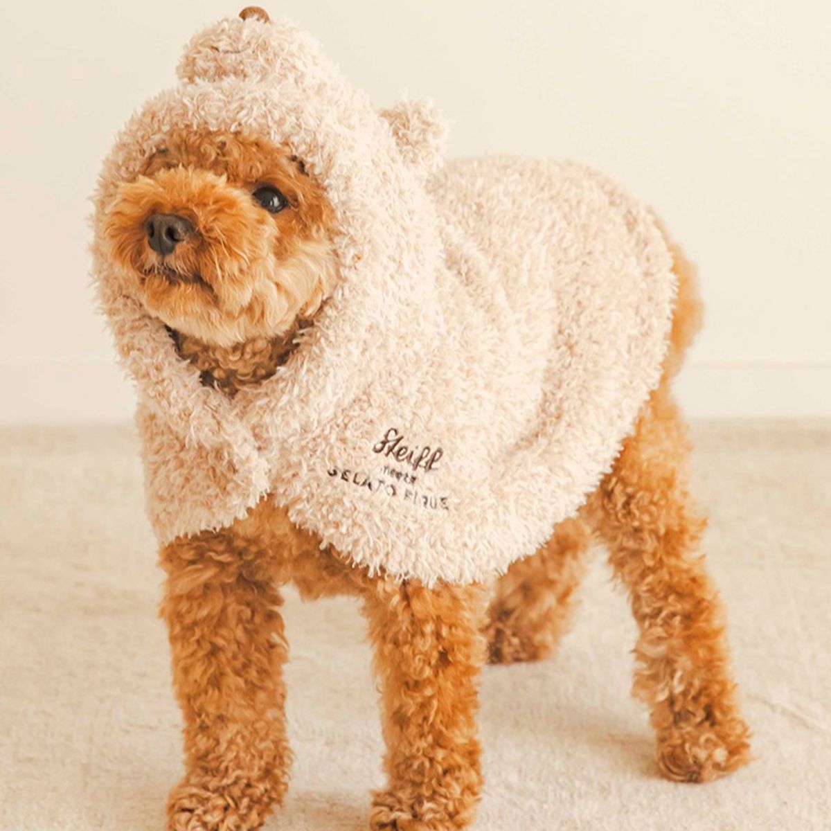 젤라또 피케(GELATO PIQUE) [STEIFF] [CAT&DOG] JAMES 케이프 PAGG245596