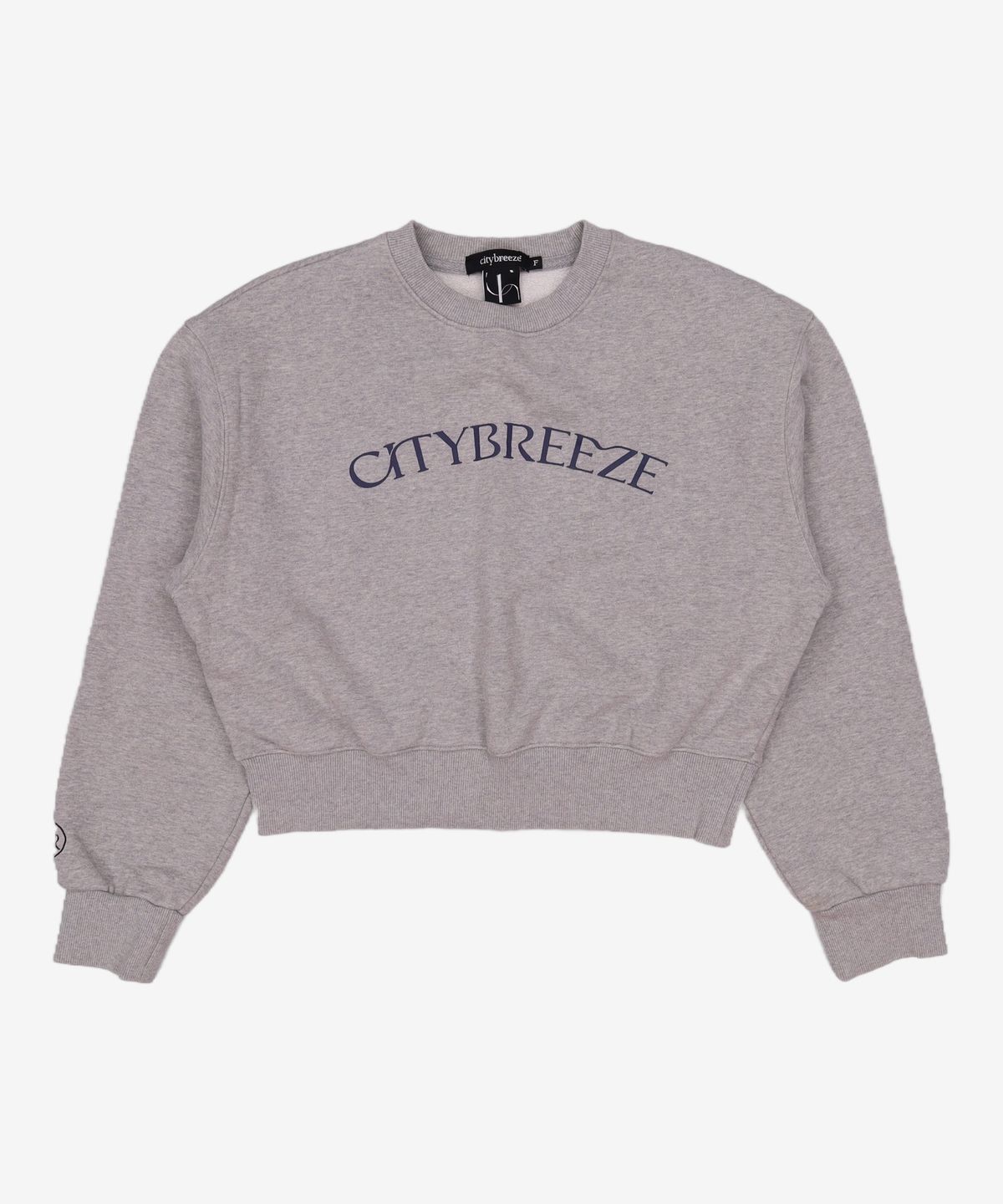 시티브리즈(CITYBREEZE) 맨투맨/스웨트셔츠 F