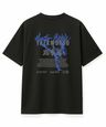 6623294