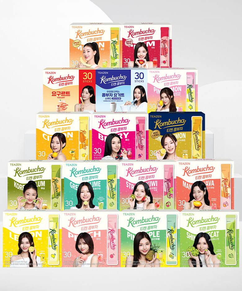 티젠 콤부차 30스틱 16종 택2(30스틱 총 2팩)