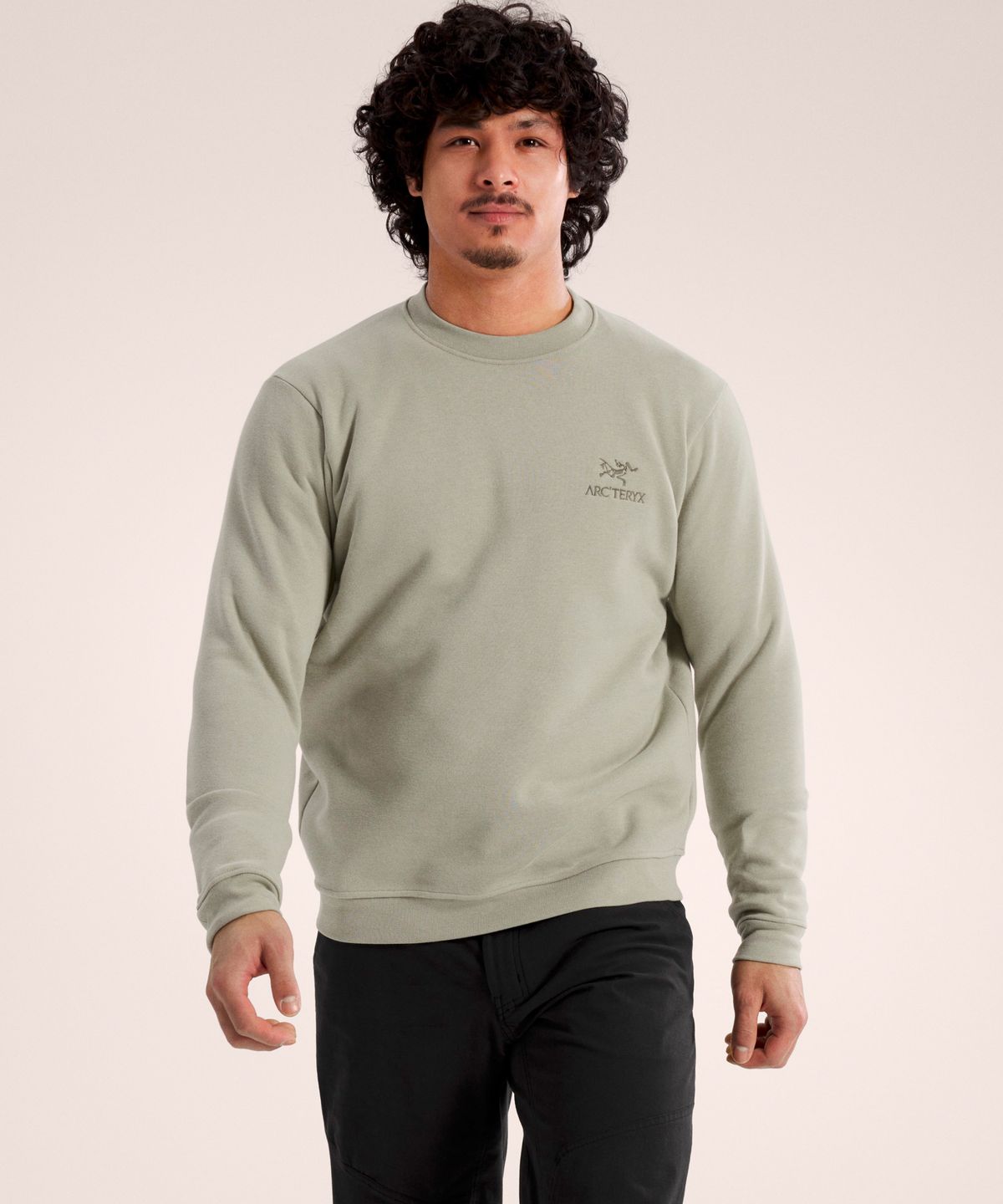 아크테릭스(ARCTERYX) 엠블럼 플리스 크루 남성 - HABITAT / ATQSM09787