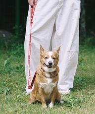 Thumbnail 0