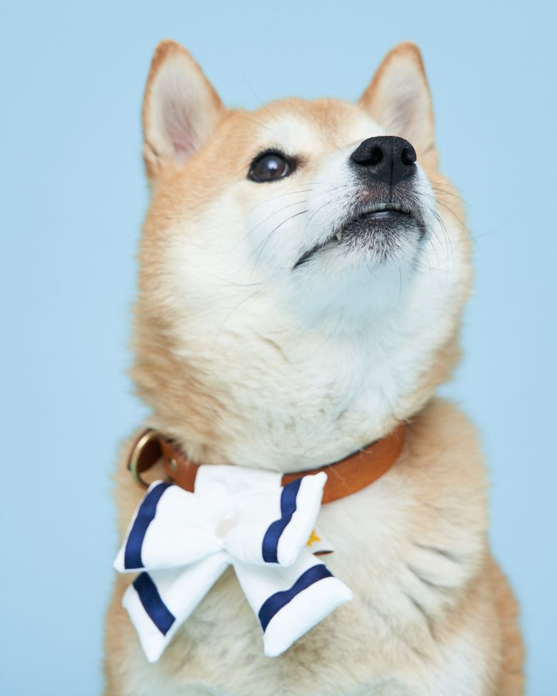 마린리본