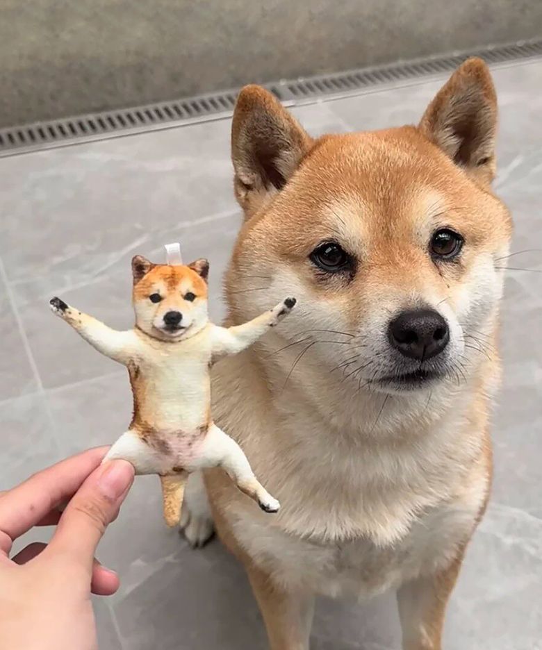 웃긴 강아지 시바견 와이어 인형 키링 폰줄 열쇠고리
