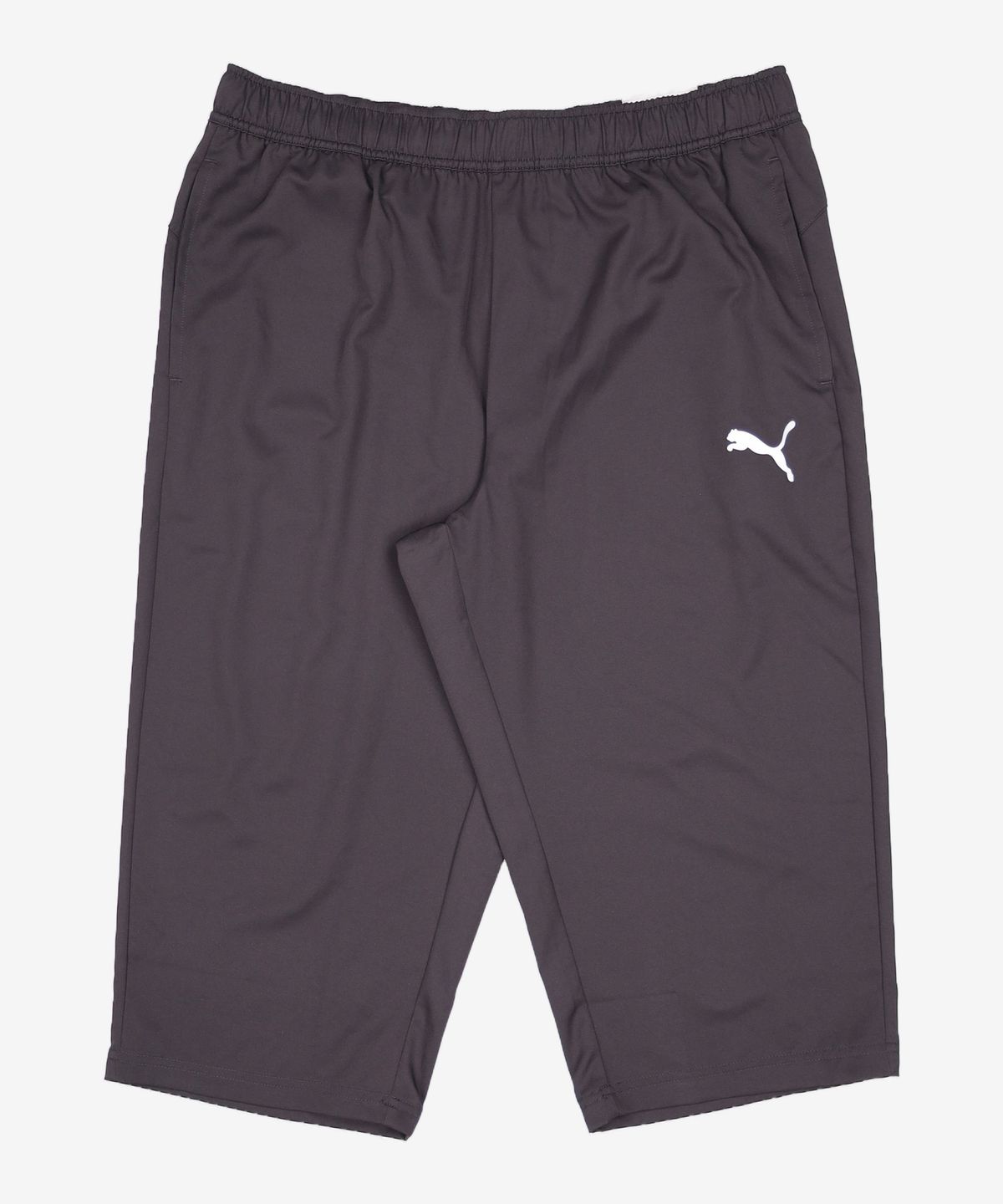 푸마(PUMA) 숏팬츠 XL