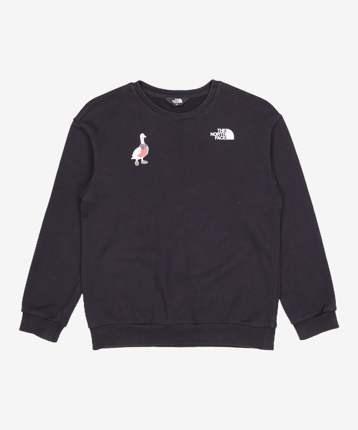 노스페이스 키즈(THE NORTH FACE KIDS) 맨투맨/스웨트셔츠 160