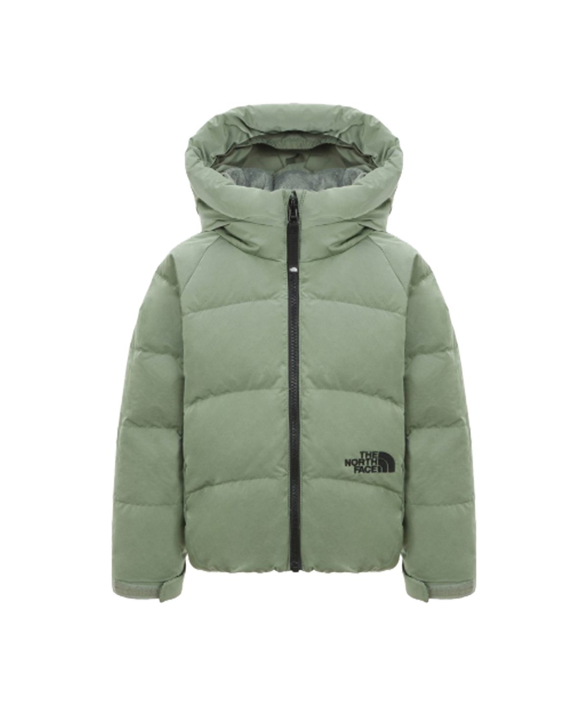 노스페이스 키즈(THE NORTH FACE KIDS) 키즈 로포텐 다운 자켓 (RDS) NJ1DR62U_GYK