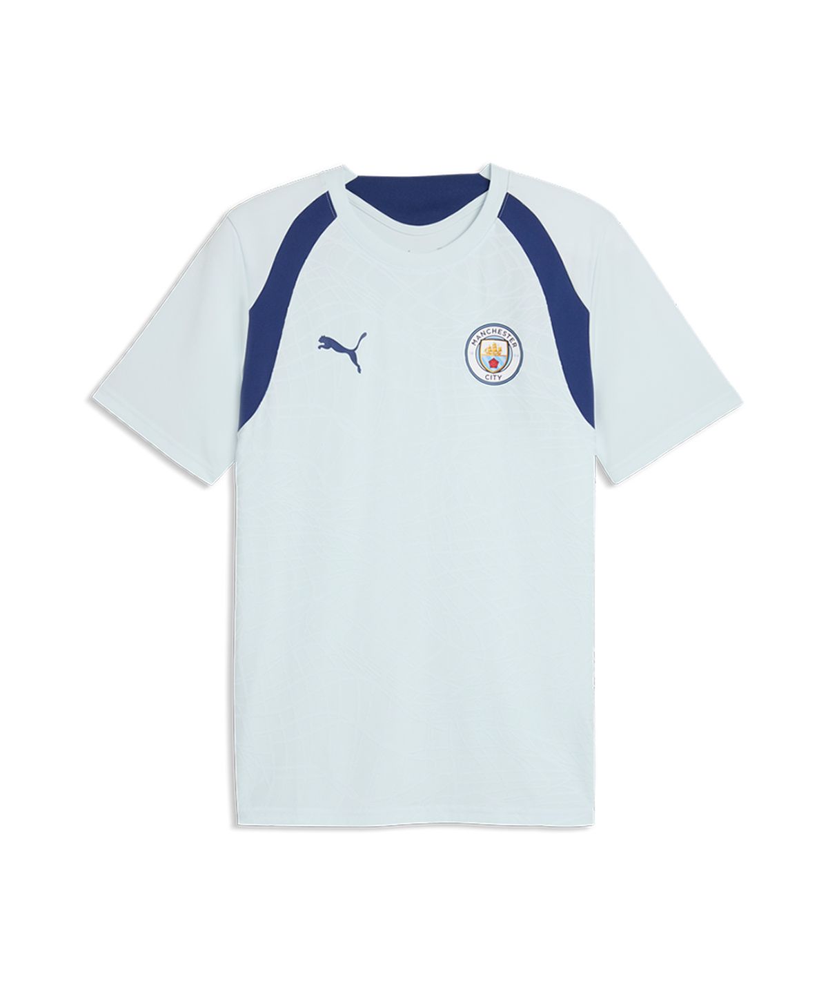 푸마(PUMA) MCFC Training Jersey
